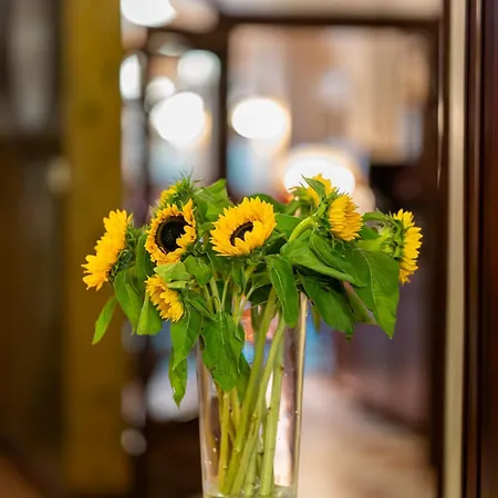 Secesja كراكوفيا